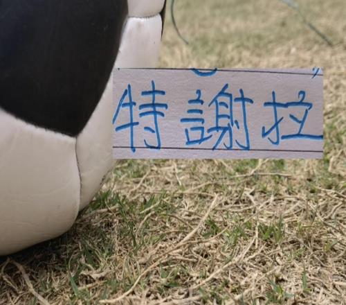 葡萄牙外援+教練給力！本輪申花特謝拉北京國(guó)安發(fā)飆都進(jìn)球了