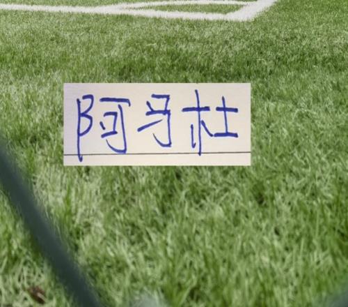 第一輪外援中場大腿沒想到前申花外援阿馬杜回春了！