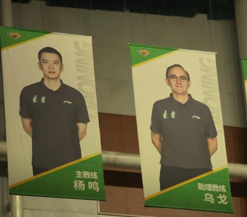 楊鳴又看遼籃比賽心系母隊！主教練畫像也仍然保留，他還會回來嗎