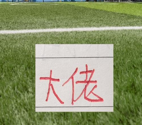 還真的是屈指可數(shù)！中超國字號(hào)外援申花特謝拉入選葡萄牙國青