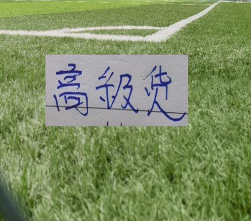 超频版本马莱莱登巴巴的同胞在申花外援中锋会是高级货吗