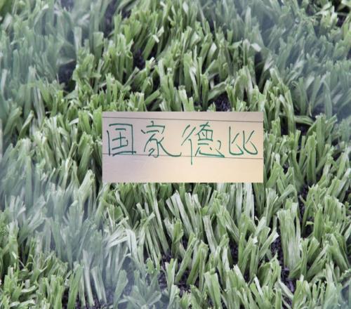 北京國(guó)安和申花算不算中超國(guó)家德比畢竟30多年聯(lián)賽冠軍累計(jì)2次