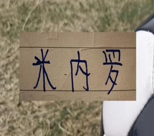 是留下米內羅好還是放棄阿馬杜正確北京國安比賽或許有答案