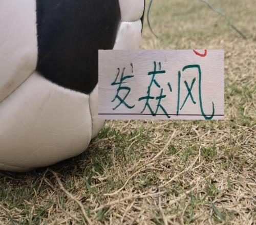 京滬大戰！申花最麻煩不是防發飆而是防特謝拉對馬寧“發飆”