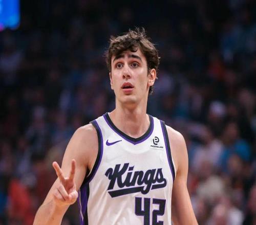 42順位！新秀榜第四，國王的雷諾什么水平