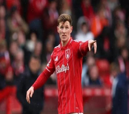 費迪南德：曼聯(lián)應(yīng)該優(yōu)先簽下安德森，而不是吉馬良斯和托納利