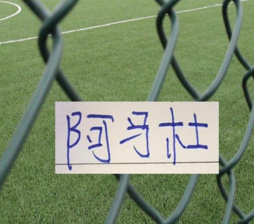 前3輪！中超球隊(duì)找到寶藏外援申花送給重慶阿馬杜真是撿漏