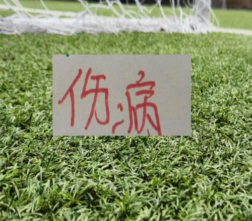 慶幸！北京國安+申花陣容厚度夠肥能玩得自損500傷敵1000打法