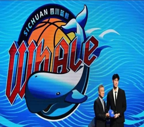 太可怕！四川單賽季29連敗，打破CBA和NBA歷史紀(jì)錄，要被零封啊