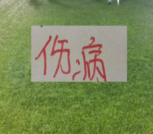 申花間歇期重要不是7球員不在而是6主力趕緊康復(fù)