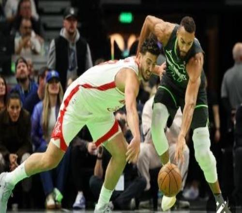 森林狼逆火箭：申京努力了，然而杜蘭特啊