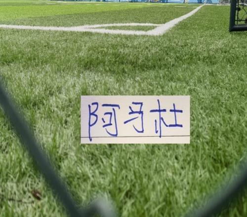 中超球隊(duì)找到高級(jí)貨成都是席爾瓦重慶是前申花第一獸腰阿馬杜