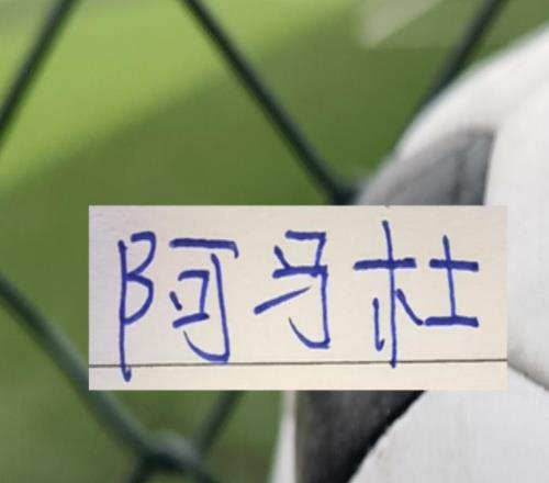 中超幾個豪門都有球員上榜唯獨不見申花倒是有阿馬杜