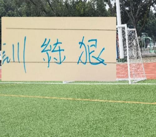 還沒到4月份申花就有6傷員是前俄教練訓(xùn)得太狠嗎