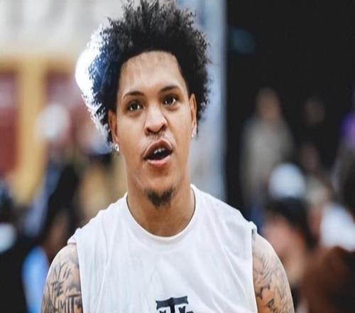 野球場(chǎng)天花板羅布與哈特，真能去CBA搶外援工作嗎