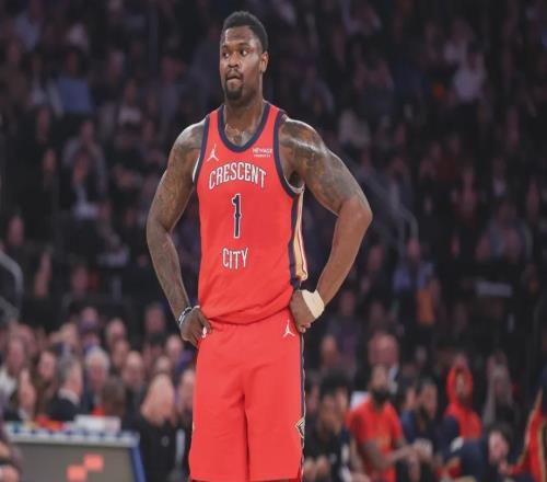 鵜鶘與國王，菜雞互啄，但鵜鶘是真克星！