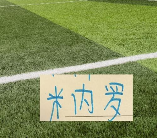 是負(fù)分清零難還是集齊五外援難申花米神也打工人天花板