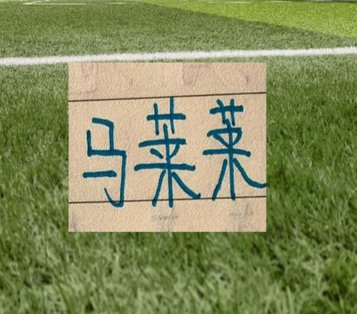 前申花外援就是香！馬萊萊成為大連殺手