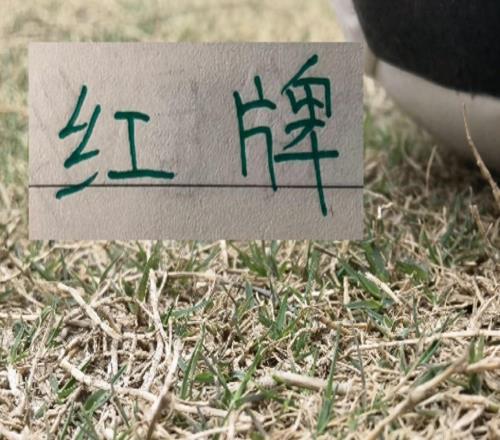 扯頭發(fā)+紅牌！在CCTV直播下重慶也成為中超丟球最少球隊之一