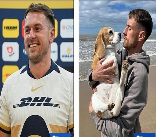 没找回狗伤心到退役35岁前阿森纳球星拉姆塞官宣挂靴！