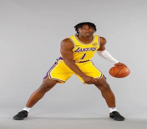 范德彪復(fù)出3場又躺平，湖人替補(bǔ)席真敢這么玩