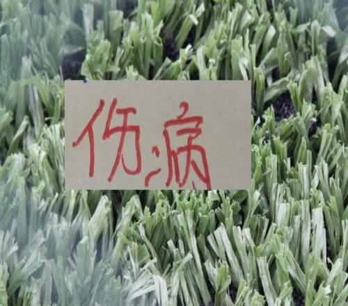 大面積傷?。∪啿粍?！連吃裁判虧北京國安唯一優(yōu)勢就是主場