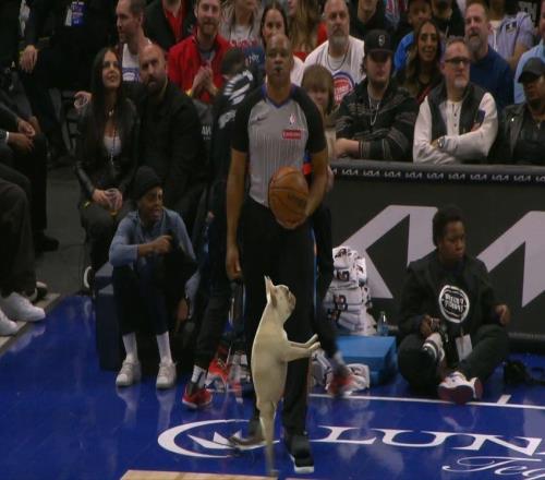 奧尼爾主持最后一期Shaqtin'，念錯7個名字成固定節目