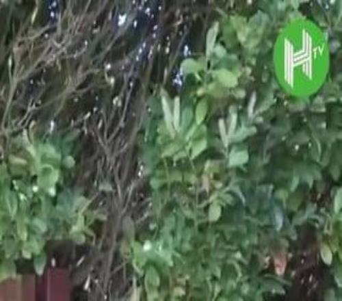 阿森纳双核火线复出，欧冠生死战前48小时训练场现身