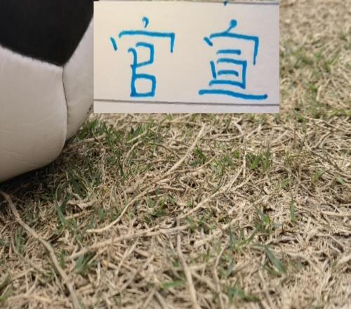 官宣！中超射手榜海報(bào)第一名是奧斯卡第二番位是申花拉唐