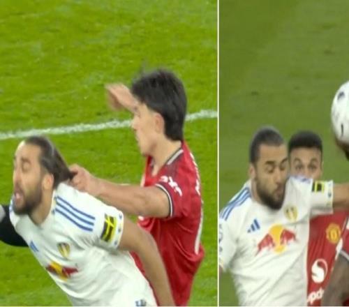 費(fèi)迪南德轉(zhuǎn)發(fā)利馬和勒溫犯規(guī)對比圖，并裁判公司要求解釋