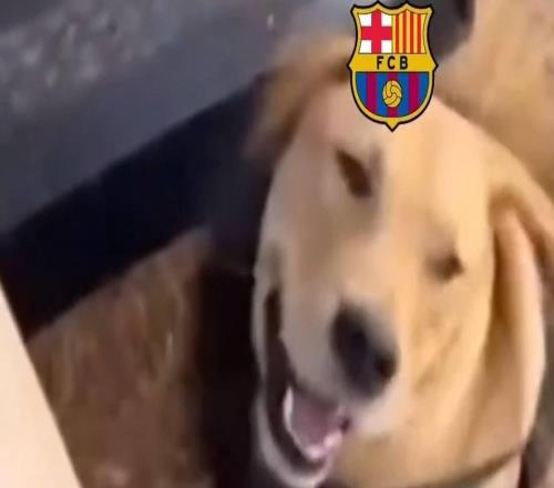 马竞官方发meme调侃巴萨：摘掉狮子的头套，发现其实是小狗