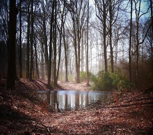 熱刺降級(jí)倒計(jì)時(shí)：2.5億英鎊窟窿怎么填