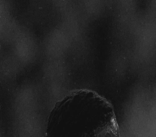 卡馬文加社媒：我承擔(dān)我應(yīng)負(fù)的責(zé)任，向球隊(duì)和皇馬球迷們道歉