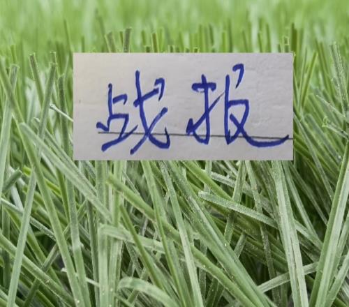 成都繼續(xù)連勝前申花第一獸腰阿馬杜帶領球隊保持不敗