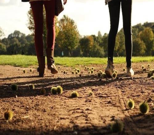 森林隊殺進(jìn)歐聯(lián)四強，卻為三傷員埋單