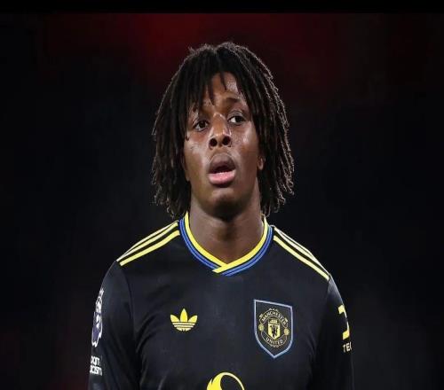 卡里克更新多爾古和梅努的情況記者：若曼聯(lián)獲得歐冠資格，夏窗將有更多引援資金