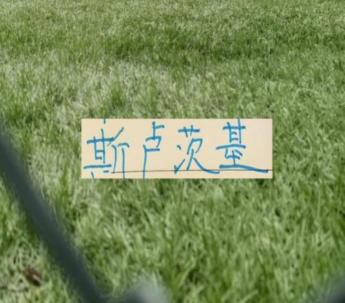 20分鐘全華班！剛丟1球！中超問誰能做到！申花司機(jī)也敢玩大的