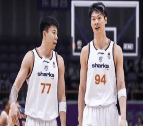 CBA最新動態(tài)！遼寧隊VS上海隊，賽前帶來遼寧男籃趙繼偉、哈維、烏戈和上海男籃張鎮(zhèn)麟最新消息