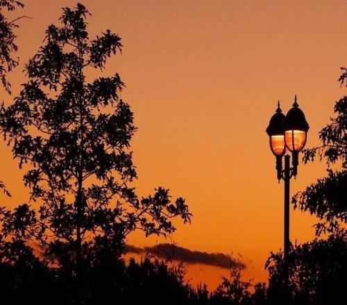 布魯諾踢利茲聯(lián)為何像開掛