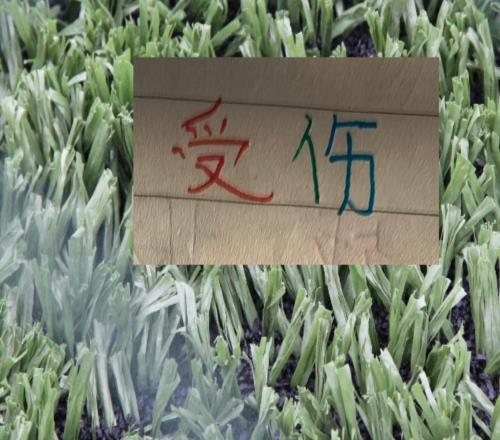 算是打工人天花板嗎米內(nèi)羅又缺席第7輪申花的比賽