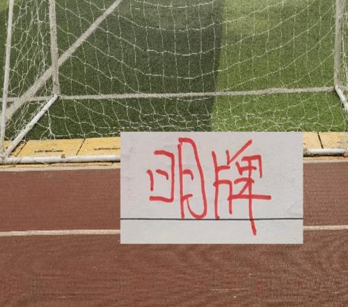 這是底氣！申花主帥賽前直接明牌臨時(shí)換裁判能擋住追趕步伐嗎