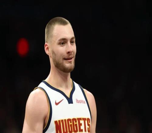 G3掘金96113不敵森林狼球員評價：僅納吉能看，8人低迷