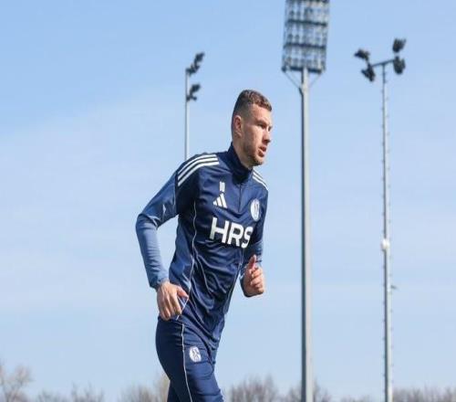 沙尔克04更新球队伤情：哲科已逐渐康复，目前将先进行单独训练