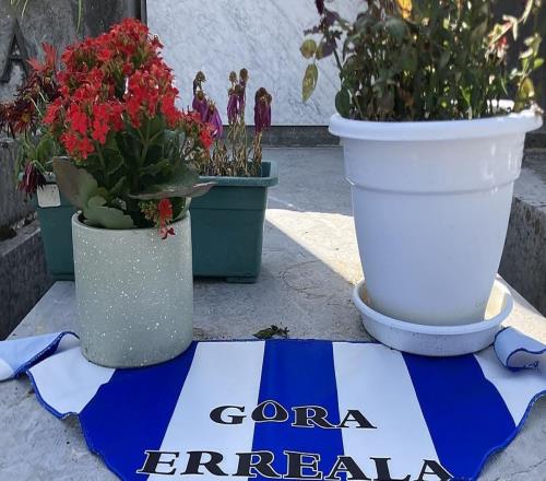 祭慰先靈，皇社奪冠后當(dāng)?shù)厍蛎詾槿ナ赖那蛎杂H人墓碑掛上隊旗