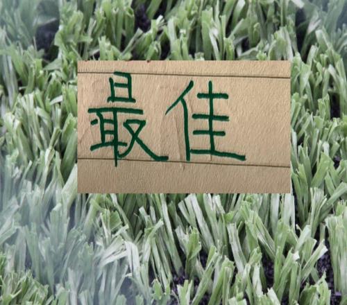 官榜來(lái)了！前7輪進(jìn)攻+助攻五強(qiáng)領(lǐng)頭羊有3人申花只有拉唐獨(dú)領(lǐng)