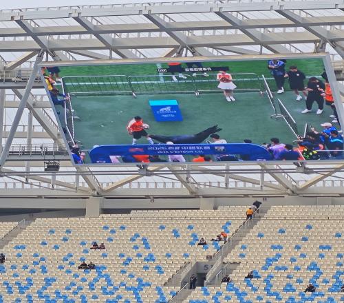 趣味十足，海牛主場對(duì)陣泰山的齊魯?shù)卤惹艾F(xiàn)場進(jìn)行了海獅表演