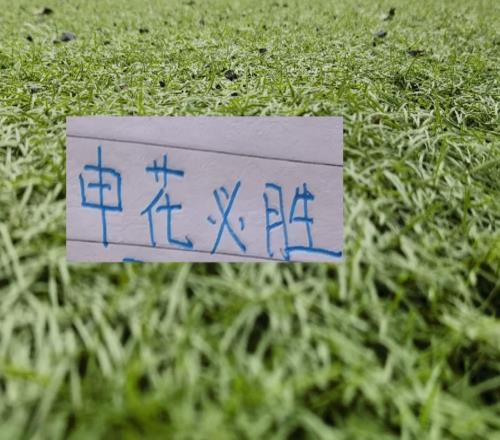 第8輪中超未扣分純凈版！可能才是申花球迷最想要積分榜