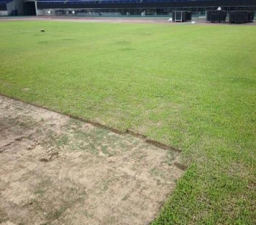 變菜地了，網(wǎng)傳圖片顯示浙江隊(duì)主場(chǎng)黃龍?bào)w育場(chǎng)中出現(xiàn)“大坑”