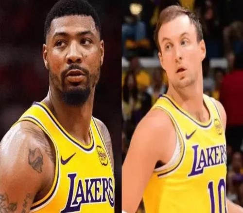 湖人消息：兩張罰單出爐，追夢盛贊布朗尼，G5出場更新