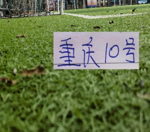 少見！重慶10號阿馬杜跟申花10號特謝拉一起入選第8輪MVP候選